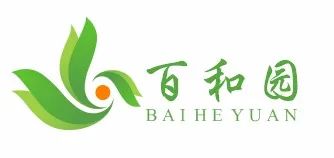 ���28��(�й�ƽ̨)�ٷ���վ